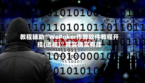 教程辅助“WePoker作弊软件教程开挂(透视)”其实确实有挂-第2张图片