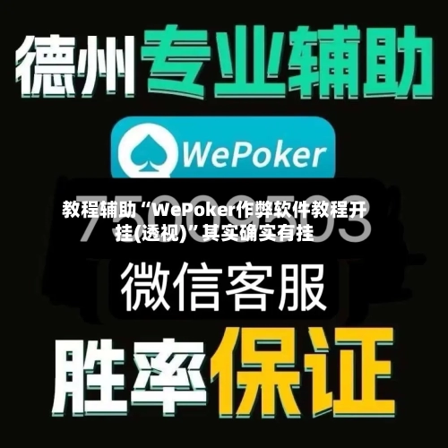 教程辅助“WePoker作弊软件教程开挂(透视)”其实确实有挂-第3张图片