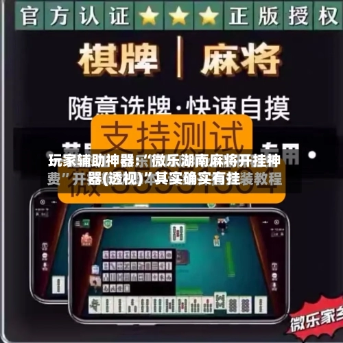玩家辅助神器:“微乐湖南麻将开挂神器(透视)”其实确实有挂
