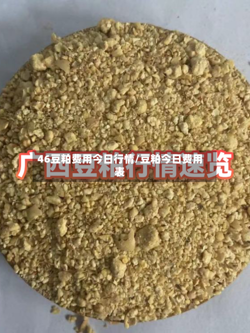46豆粕费用今日行情/豆粕今日费用表