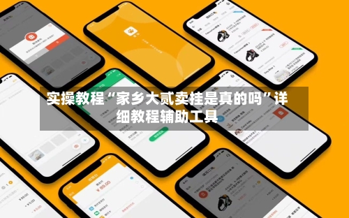 实操教程“家乡大贰卖挂是真的吗”详细教程辅助工具