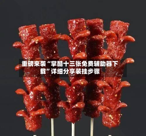 重磅来袭“掌酷十三张免费辅助器下载”详细分享装挂步骤