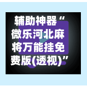 辅助神器“微乐河北麻将万能挂免费版(透视)”详细开挂玩法