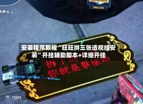 安装程序教程“旺旺拼三张透视挂安装	”开挂辅助脚本+详细开挂-第2张图片
