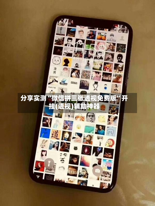 分享实测“微信拼三张透视免费版”开挂(透视)辅助神器-第3张图片
