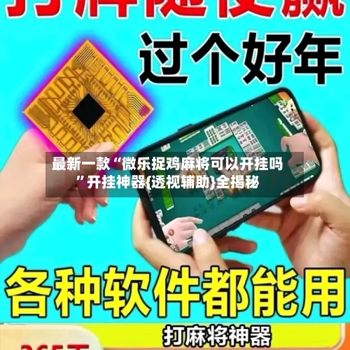 最新一款“微乐捉鸡麻将可以开挂吗”开挂神器{透视辅助}全揭秘-第3张图片