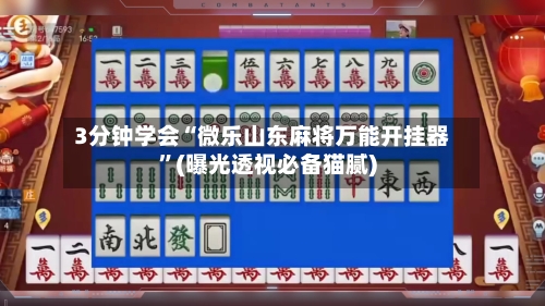 3分钟学会“微乐山东麻将万能开挂器”(曝光透视必备猫腻)-第3张图片