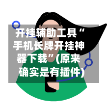 开挂辅助工具“手机长牌开挂神器下载”(原来确实是有插件)-第2张图片