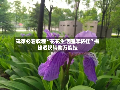 玩家必看教程“花花生活圈麻将挂”揭秘透视辅助万能挂