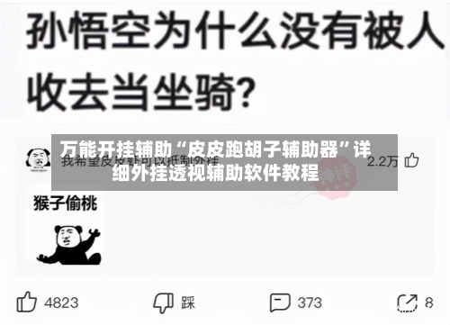 万能开挂辅助“皮皮跑胡子辅助器”详细外挂透视辅助软件教程-第2张图片