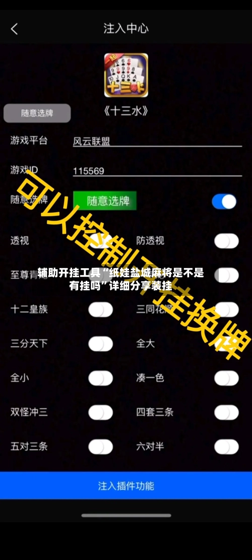 辅助开挂工具“纸娃盐城麻将是不是有挂吗	”详细分享装挂-第2张图片