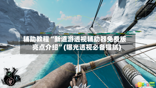 辅助教程“新道游透视辅助器免费版亮点介绍”(曝光透视必备猫腻)-第3张图片