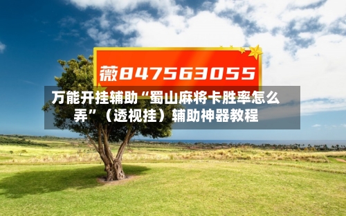 万能开挂辅助“蜀山麻将卡胜率怎么弄”（透视挂）辅助神器教程-第3张图片