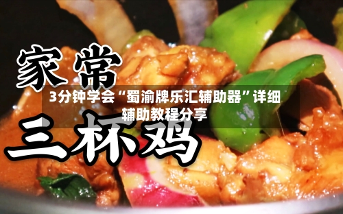3分钟学会“蜀渝牌乐汇辅助器”详细辅助教程分享-第3张图片