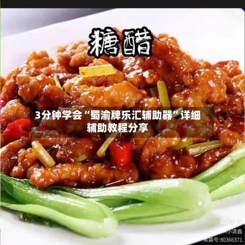 3分钟学会“蜀渝牌乐汇辅助器”详细辅助教程分享-第2张图片