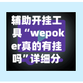 辅助开挂工具“wepoker真的有挂吗”详细分享装挂步骤教程