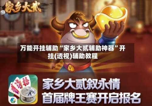 万能开挂辅助“家乡大贰辅助神器”开挂(透视)辅助教程-第2张图片