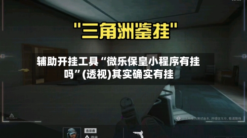 辅助开挂工具“微乐保皇小程序有挂吗”(透视)其实确实有挂-第2张图片