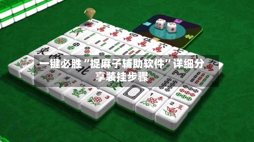 一键必胜“捉麻子辅助软件	”详细分享装挂步骤-第2张图片