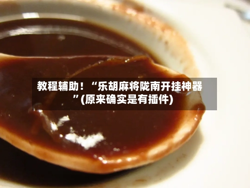 教程辅助！“乐胡麻将陇南开挂神器”(原来确实是有插件)-第2张图片