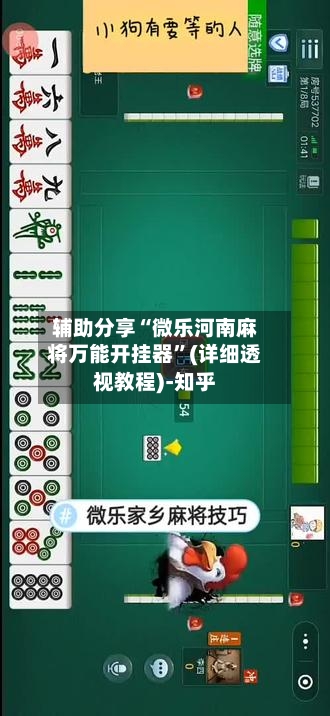 辅助分享“微乐河南麻将万能开挂器”(详细透视教程)-知乎-第2张图片