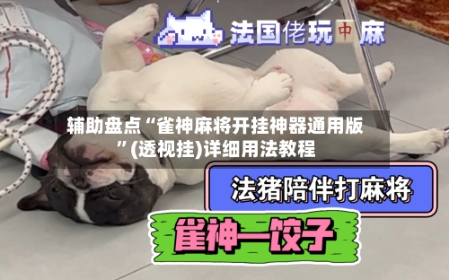 辅助盘点“雀神麻将开挂神器通用版	”(透视挂)详细用法教程-第3张图片