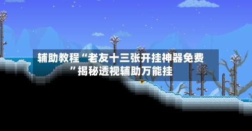 辅助教程“老友十三张开挂神器免费”揭秘透视辅助万能挂-第3张图片