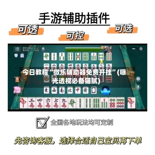 今日教程“微乐辅助器免费开挂”(曝光透视必备猫腻)