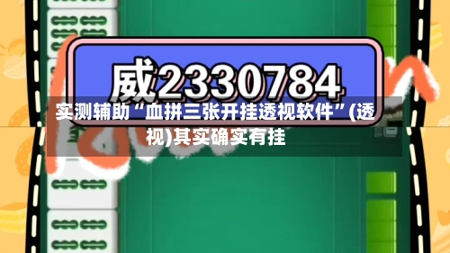 实测辅助“血拼三张开挂透视软件”(透视)其实确实有挂-第3张图片