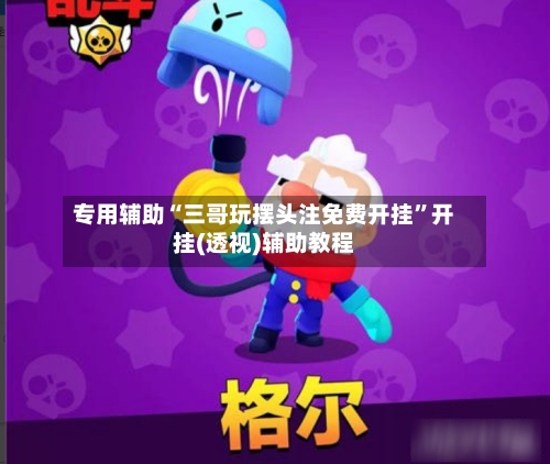 专用辅助“三哥玩摆头注免费开挂”开挂(透视)辅助教程-第2张图片