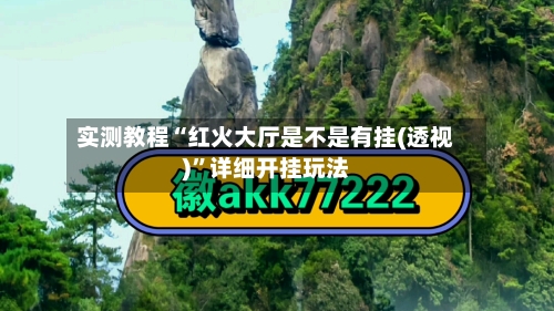 实测教程“红火大厅是不是有挂(透视)”详细开挂玩法-第2张图片