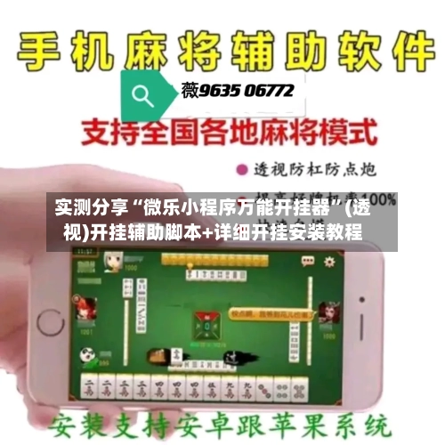 实测分享“微乐小程序万能开挂器”(透视)开挂辅助脚本+详细开挂安装教程-第3张图片