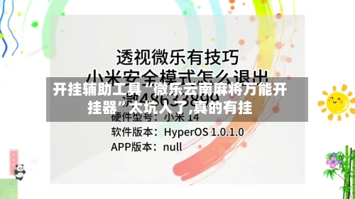 开挂辅助工具“微乐云南麻将万能开挂器	”太坑人了,真的有挂-第2张图片