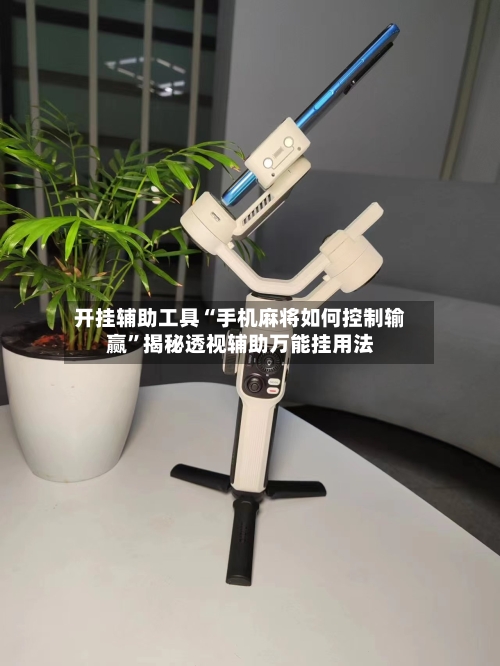 开挂辅助工具“手机麻将如何控制输赢	”揭秘透视辅助万能挂用法-第2张图片