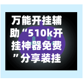 万能开挂辅助“510k开挂神器免费	”分享装挂详细步骤-第2张图片