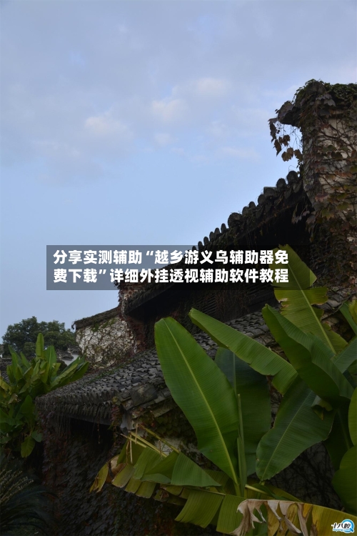 分享实测辅助“越乡游义乌辅助器免费下载”详细外挂透视辅助软件教程-第3张图片