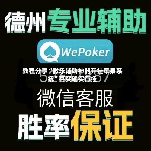 教程分享“微乐辅助神器开挂苹果系统”其实确实有挂-第2张图片