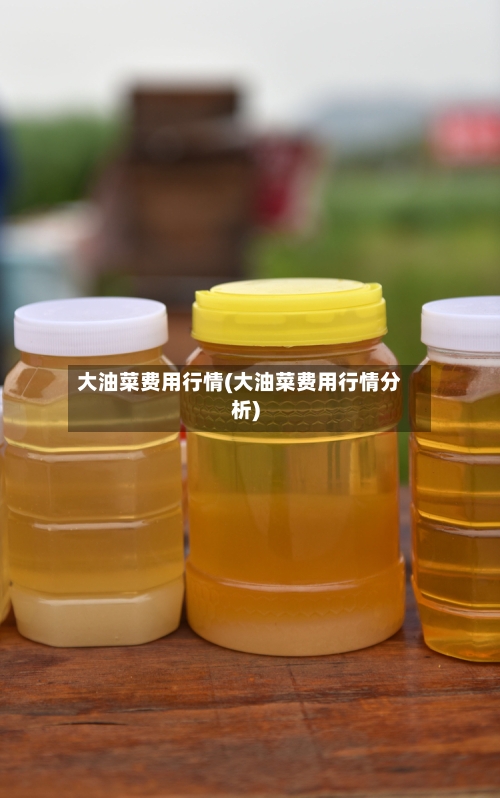 大油菜费用行情(大油菜费用行情分析)-第2张图片
