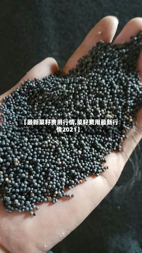 【最新菜籽费用行情,菜籽费用最新行情2021】