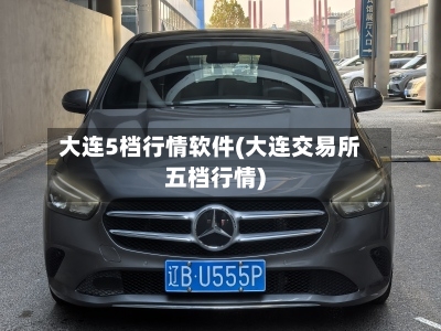 大连5档行情软件(大连交易所五档行情)-第2张图片