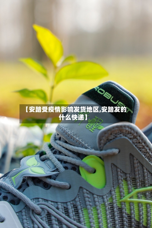 【安踏受疫情影响发货地区,安踏发的什么快递】-第2张图片
