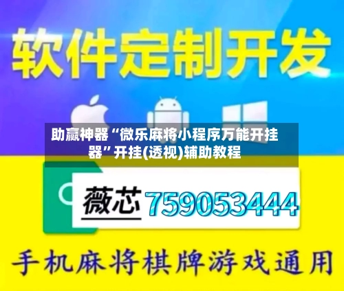 助赢神器“微乐麻将小程序万能开挂器”开挂(透视)辅助教程-第2张图片