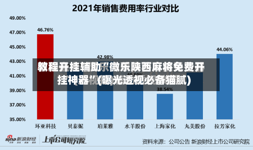 教程开挂辅助“微乐陕西麻将免费开挂神器”(曝光透视必备猫腻)
