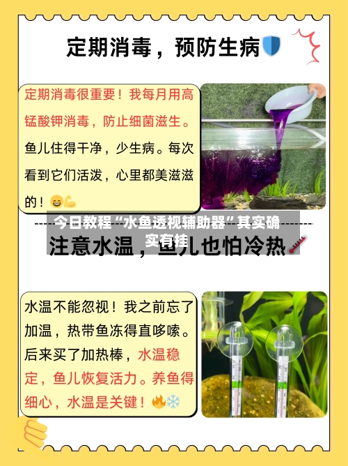 今日教程“水鱼透视辅助器”其实确实有挂-第2张图片