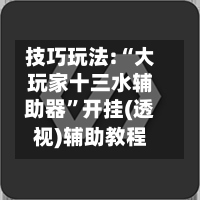 技巧玩法:“大玩家十三水辅助器”开挂(透视)辅助教程
