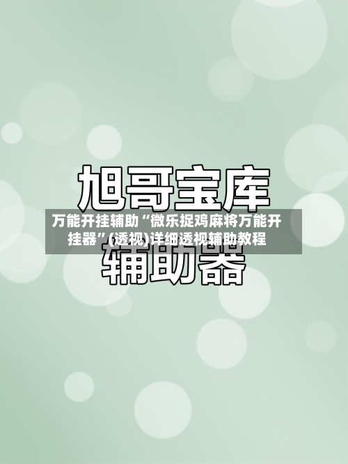 万能开挂辅助“微乐捉鸡麻将万能开挂器”(透视)详细透视辅助教程-第2张图片