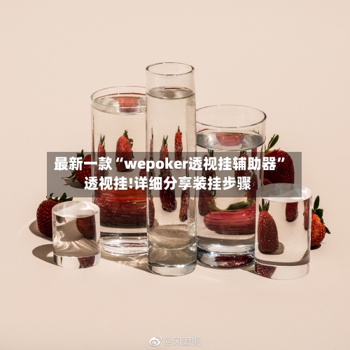 最新一款“wepoker透视挂辅助器”透视挂!详细分享装挂步骤