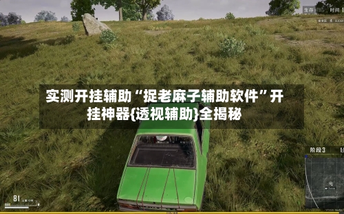 实测开挂辅助“捉老麻子辅助软件”开挂神器{透视辅助}全揭秘-第2张图片