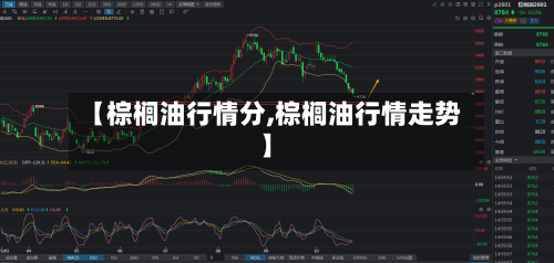 【棕榈油行情分,棕榈油行情走势】-第2张图片