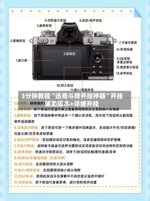 3分钟教程“迅奇斗牌开挂神器	”开挂辅助脚本+详细开挂-第3张图片